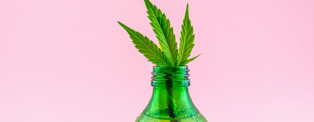 A hemp leaf sticks out of the top of a green glass bottle.  